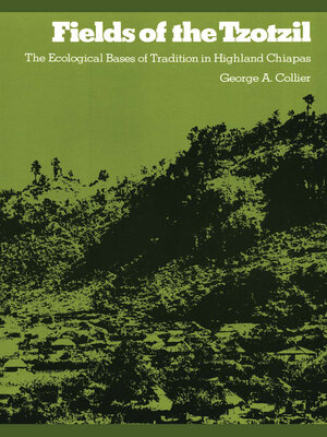 cover image of Fields of the Tzotzil
